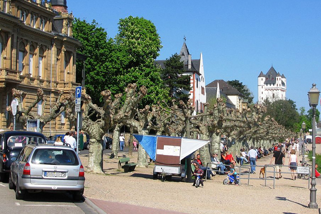 EltvillePlatzVonMontrichardRheinuferpromenade