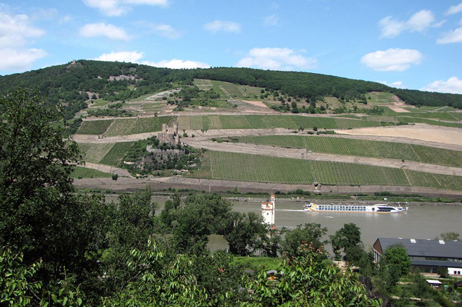 Maeuseturm rheinburgenweg