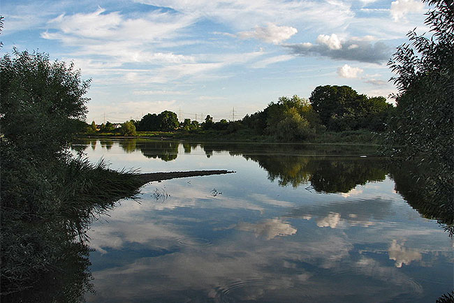 Entenfang First Neutron