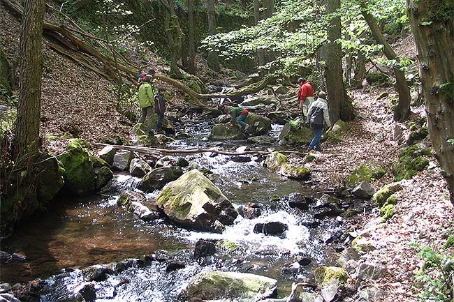 Morgenbachtal Prankster