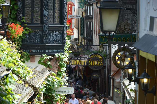 DSC 0221 Drosselgasse